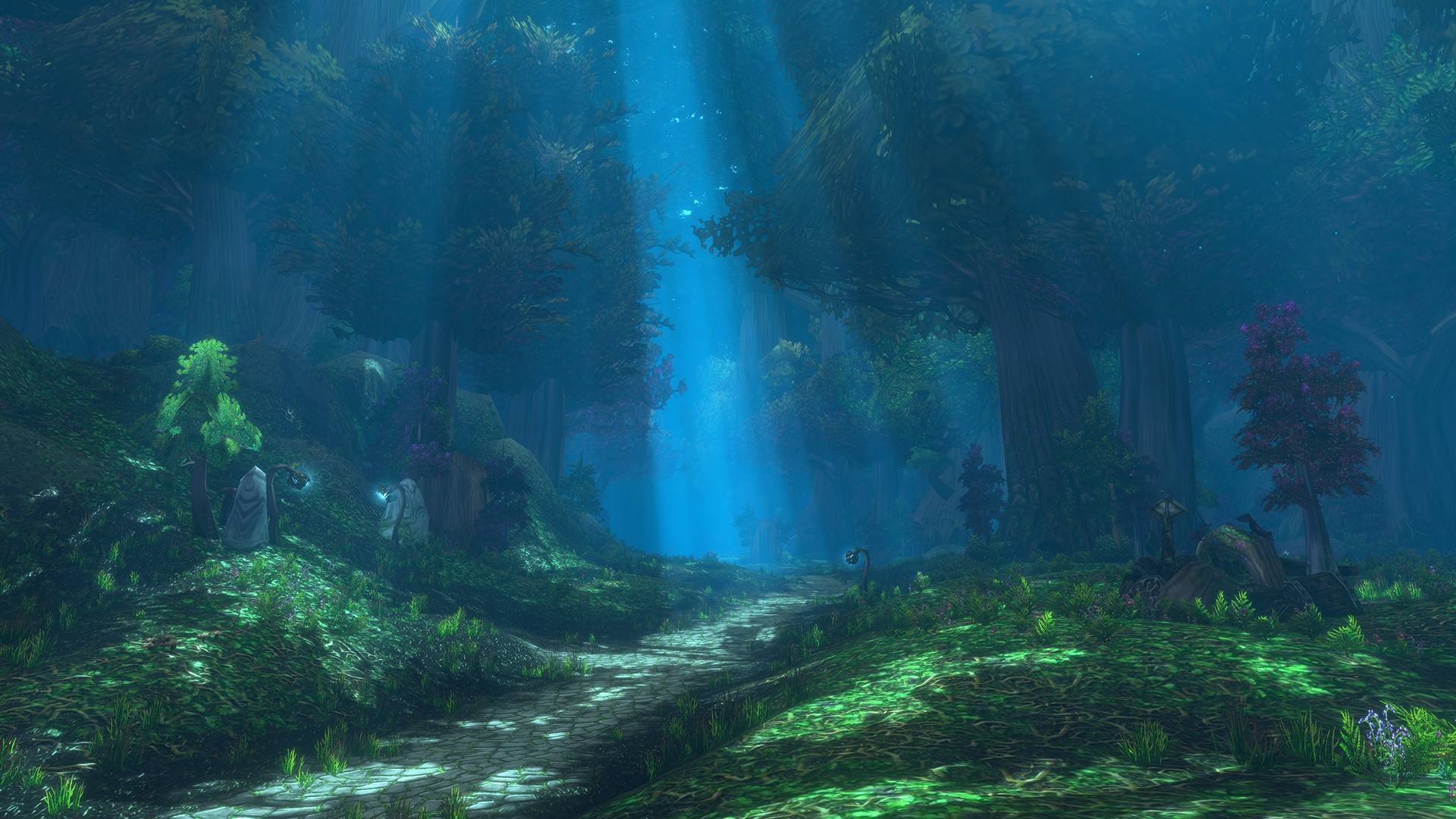 Un sendero entre árboles gigantes de Vallefresno, con rayos de luz.